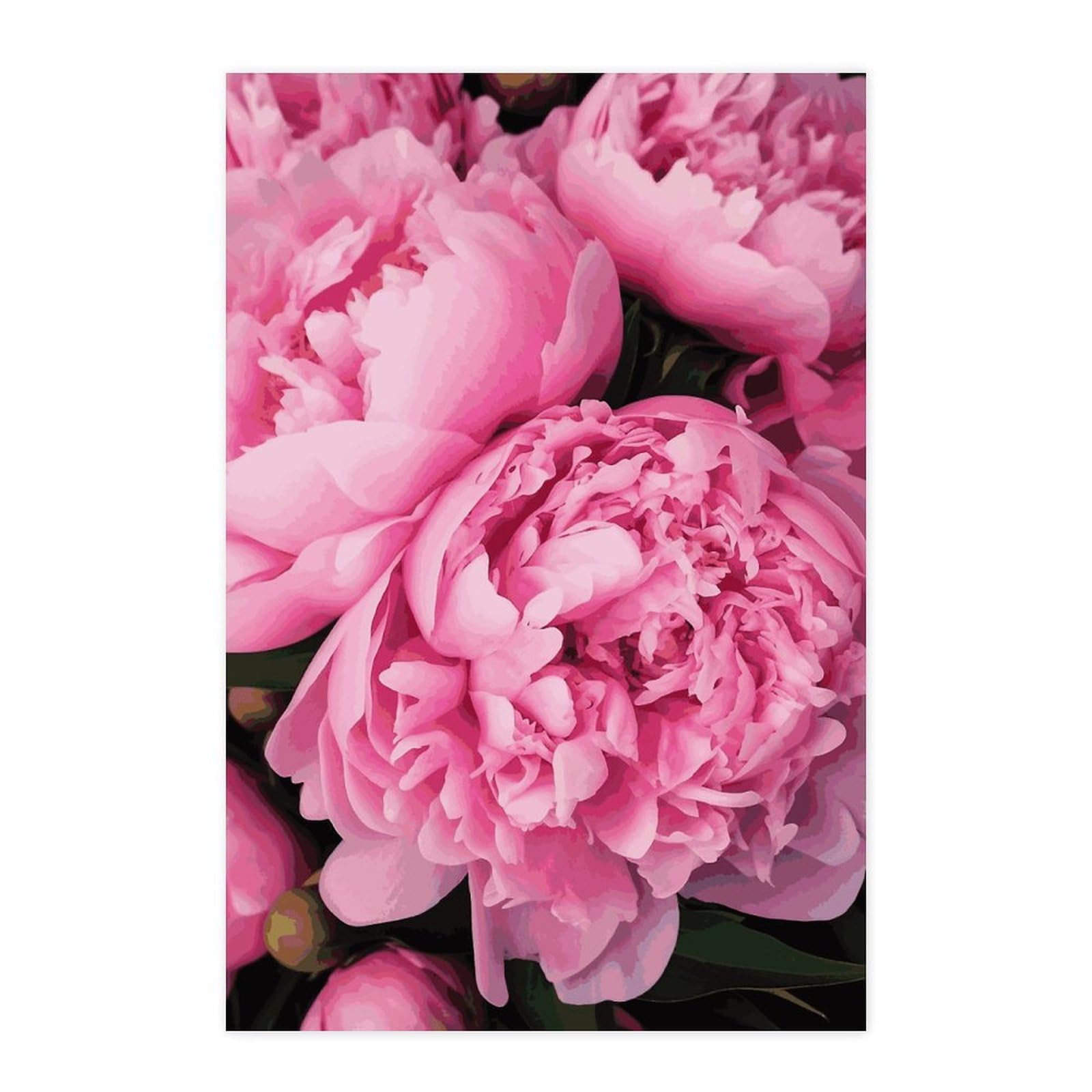 Poster pivoine rose papier amovible pour masquer les defauts d'un mur