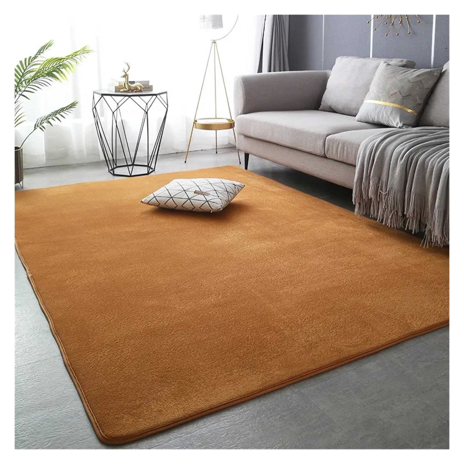Tapis en velours de corail court pour salon moderne et chambre d'adulte