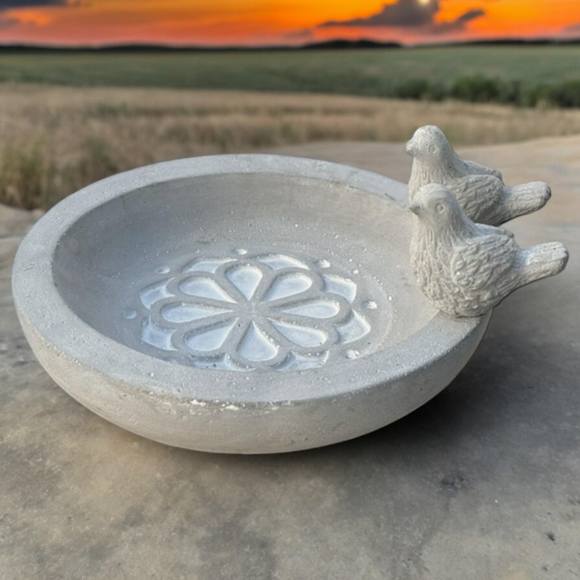 MIJOMA Bain d'oiseaux en ciment, décoration de jardin résistante au gel, pour oiseaux sauvages, bijou de jardin élégant (fleurs et oiseaux)
