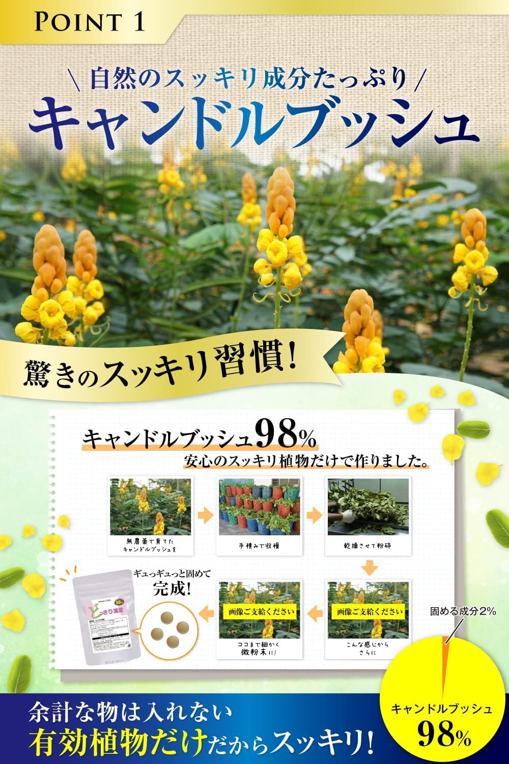 Amazon どっさり満足ダイエット サプリ キャンドルブッシュ 180粒 食物繊維 ハーブ 無添加 無農薬 こころテラピー ダイエットサプリメント