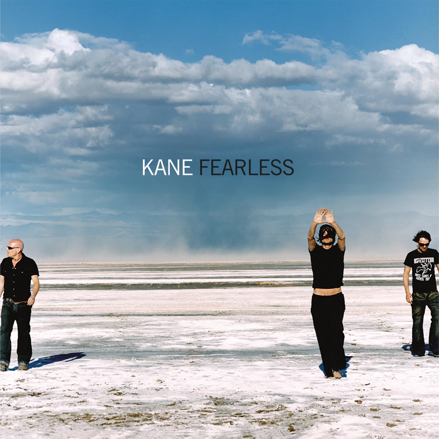 Fearless [VINYL]