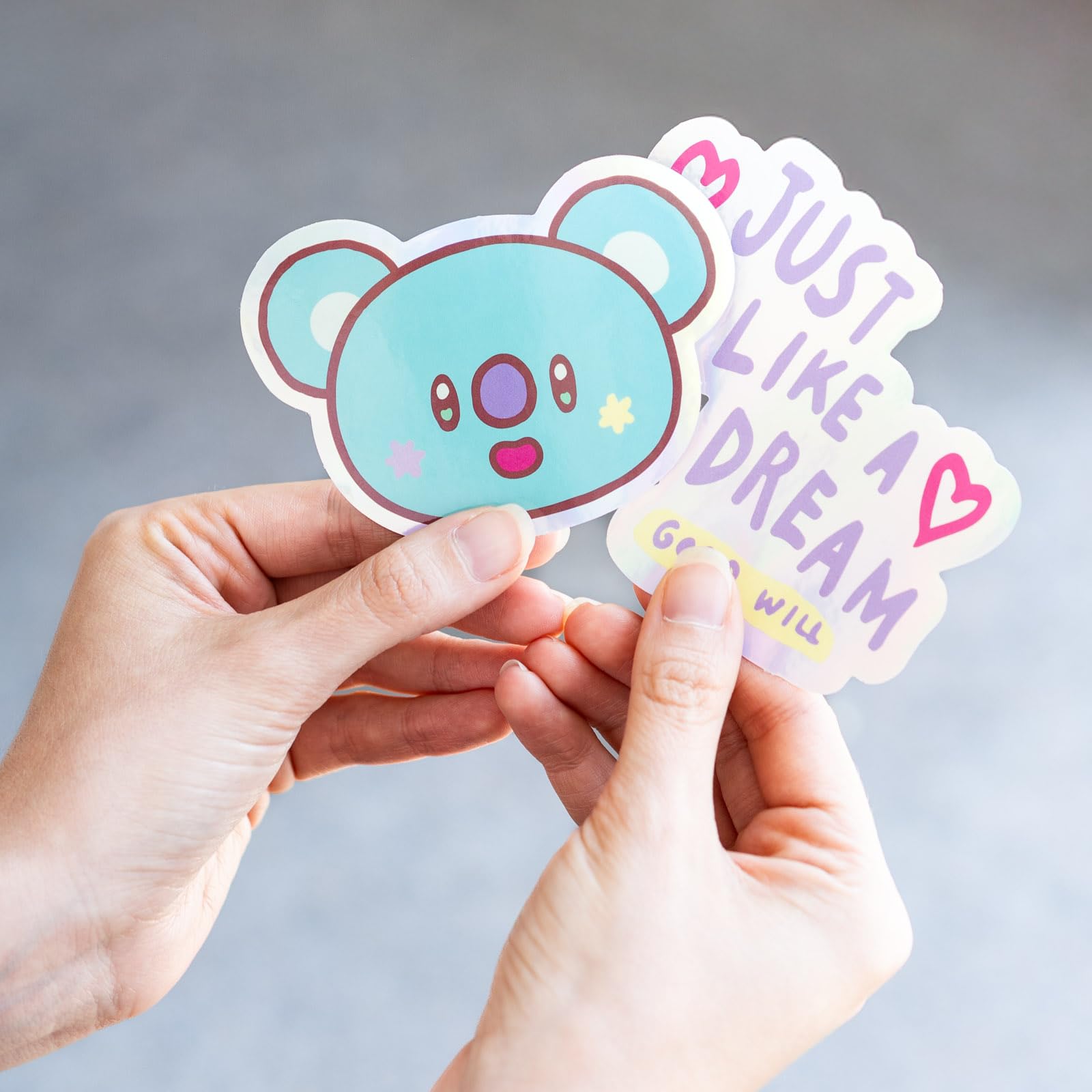 Grupo Erik Vinyl Stickers BT21 Merch - Koya