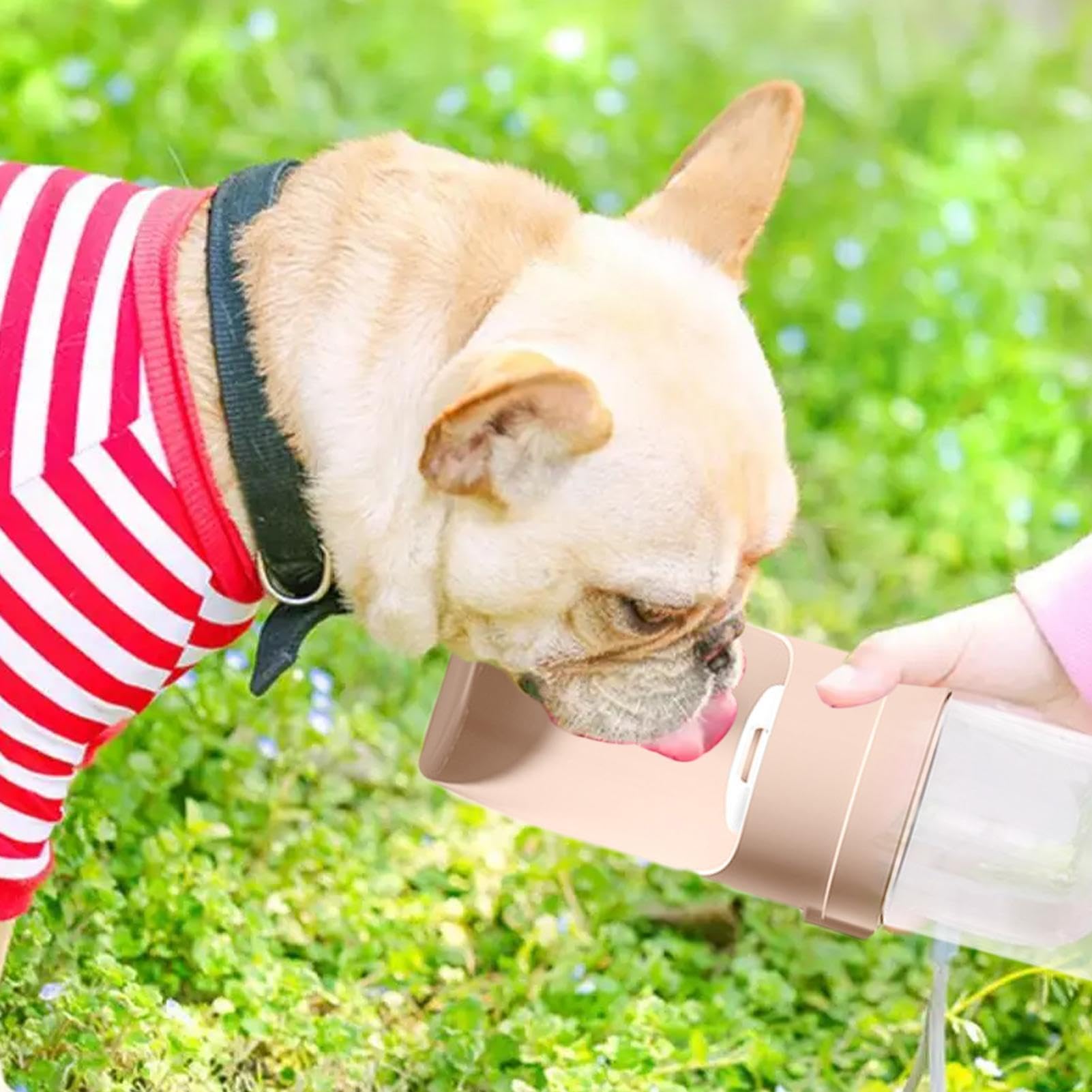 Bottiglia 2 In 1 Per Cani - Contenitore Acqua E Cibo Portatile | Antigoccia Per Passeggiate - Foto 7