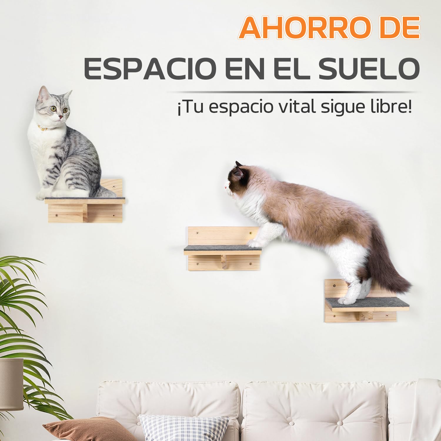 Pawtasy Pared Estantes de Pared para Gatos, Escaleras Juego de 4 Paredes de Escalada para Gatos Estable, Madera Natural Parkour hasta 35 kg