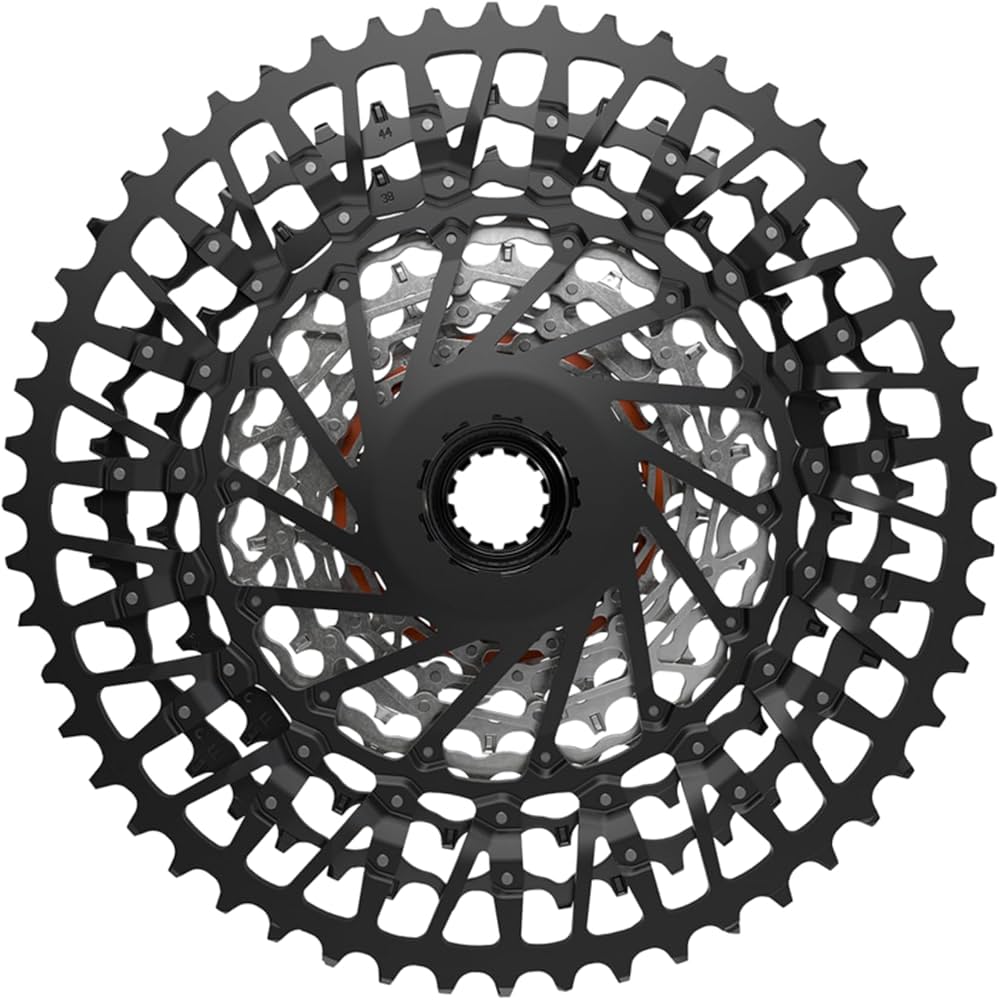 Amazon.com : SRAM GX Eagle T-Type XS-1275 Cassette - 12-Speed, 10