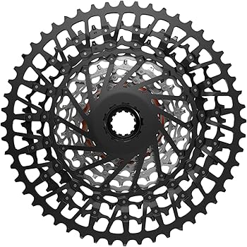 Amazon.com : SRAM GX Eagle T-Type XS-1275 Cassette - 12-Speed, 10