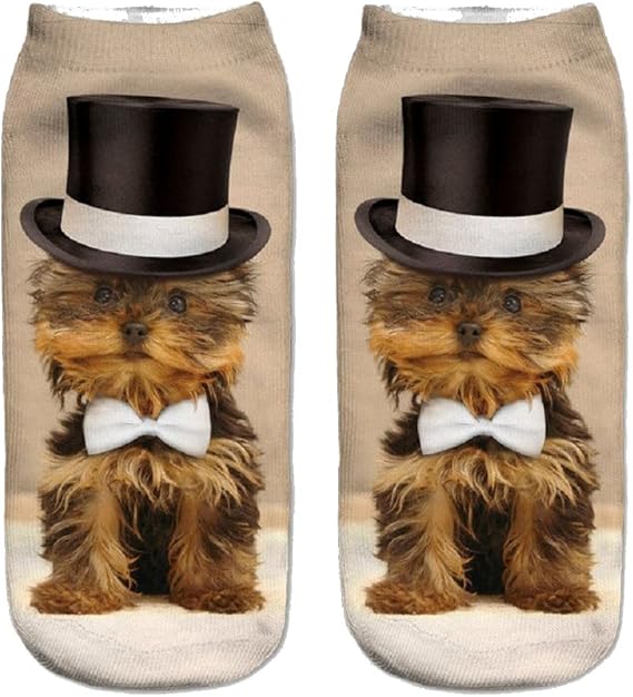 top hat yorkies