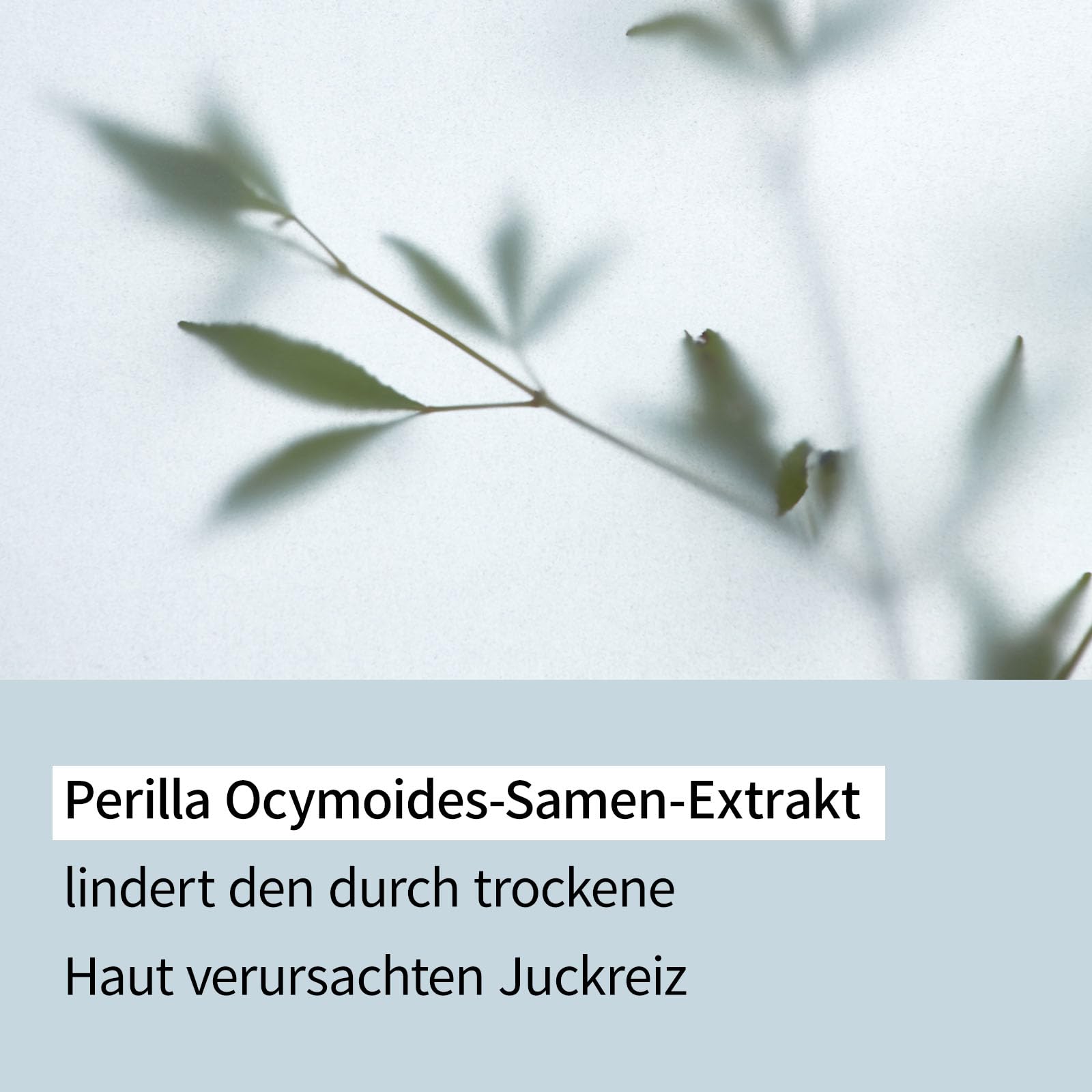 ILLIYOON Ceramide Ato Lotion 350ml, Stärkung & Wiederherstellung der Hautbarriere, Soja Ceramide für trockene empfindliche Haut, Sanfte Feuchtigkeitscreme für Kinder und Erwachsene, Vegan, Duftfrei