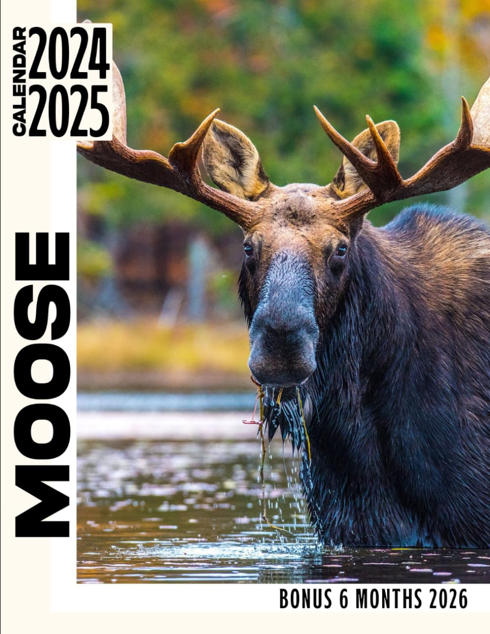 Moose Calendar 2024 - 2025: Three Years Calendar, Bank Holidays, 30 Images of Moose, Jan 2024 to Jun 2026, 17" x 11" Opened, Thick & Sturdy Paper, ... & Planning, Gift For Friends And Family