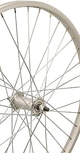Amazon.com : Sta Tru Silver Alex Y2000 36H Rim Front Wheel (24X1.5-Inch ...