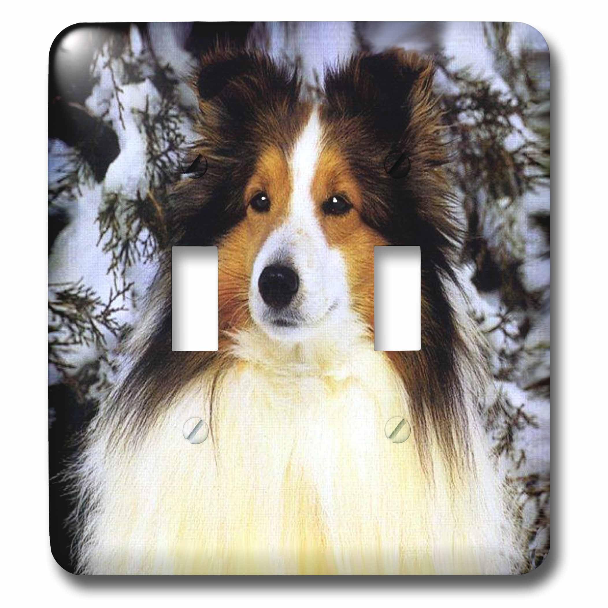 Sheltie interrupteur double idée cadeau originale pour passionnés