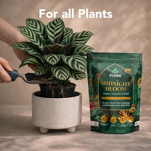Flora Midnight Bloom Fertilizante Orgánico de Algas Marinas 200g miniatura 5