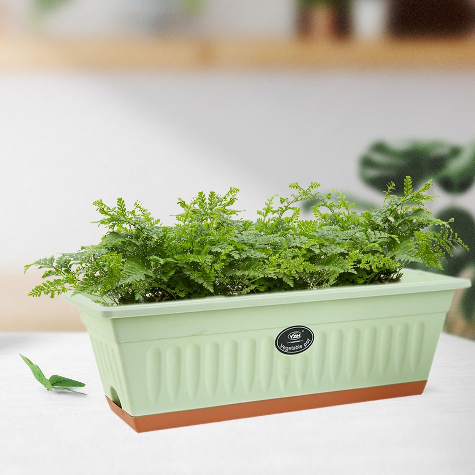 MYCENSE Pp Flower Box Plant Pot with Tray Rectangle 20x7.4x6.3inch with Drainage Holes for Houses, Offices Lightweight, Light Green