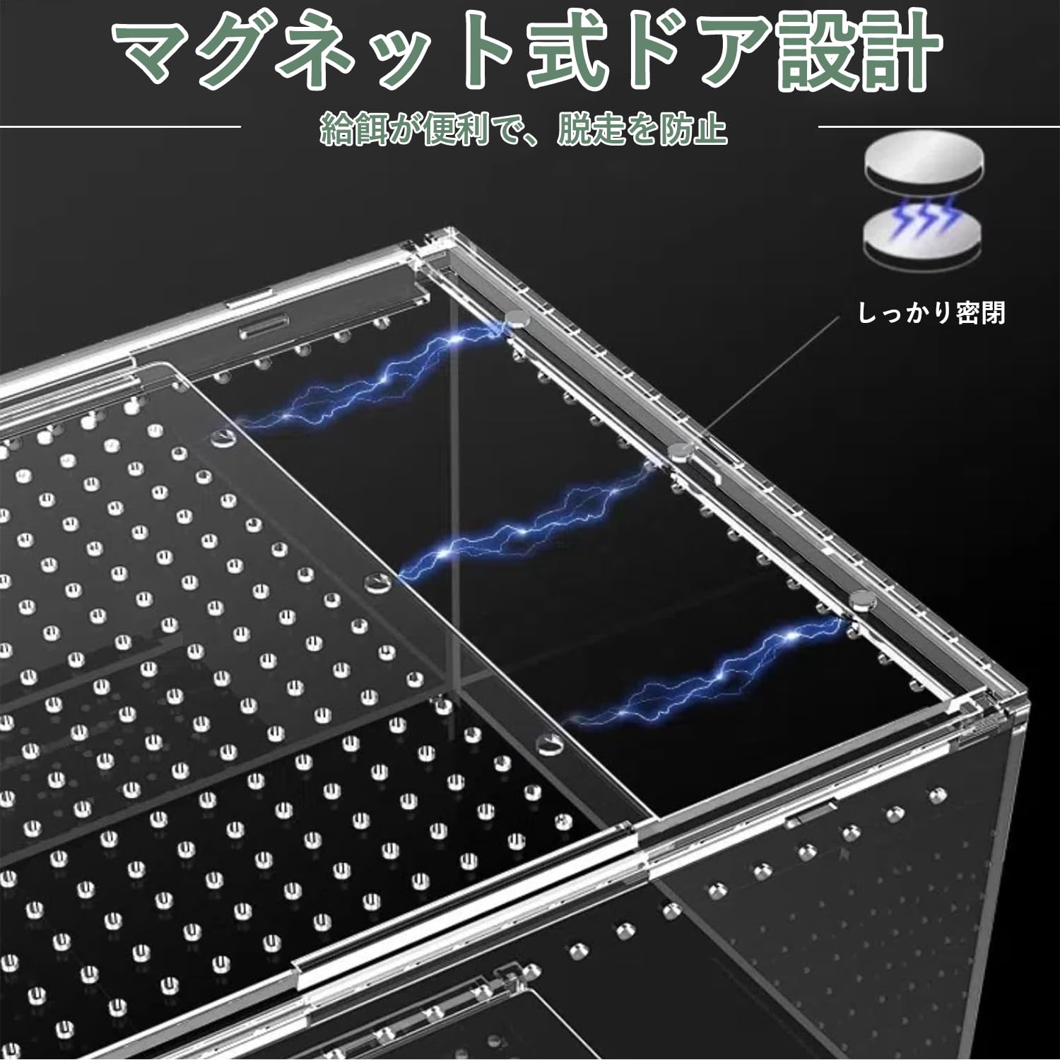 Amazon | PC 爬虫類テラリウム、ヒョウモントカゲモドキ水槽