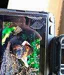 Review Image by Dave Harp Dave Harp