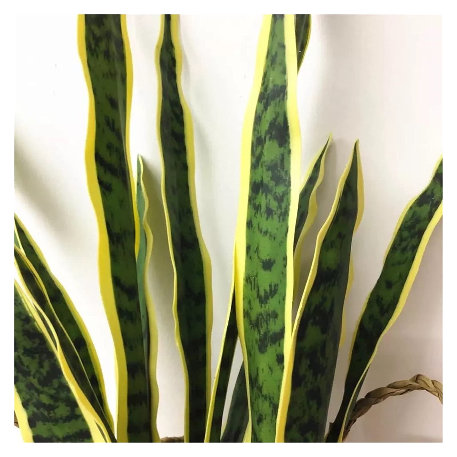 YANGQI yaoqijie 1 Set künstliche sansevieria trifasciata Schlange Pflanze Tropische grüne Pflanze hauptdekoration groß PU. Sukkulente hohe qualität. Lasting