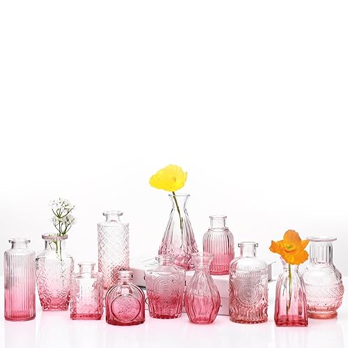 Bud Vases Set of 12,Glass Bud Vases in Bulk,Small Flower
