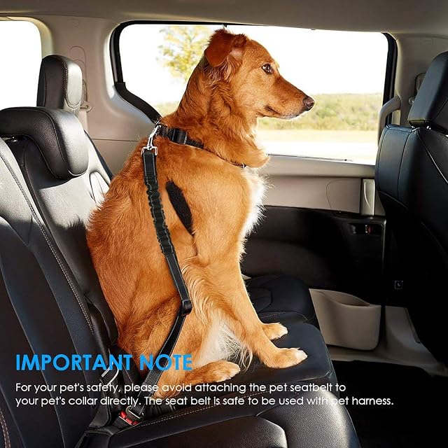 Foto 2 de 7 de Cinturón de Seguridad de Coche para Perros Gato