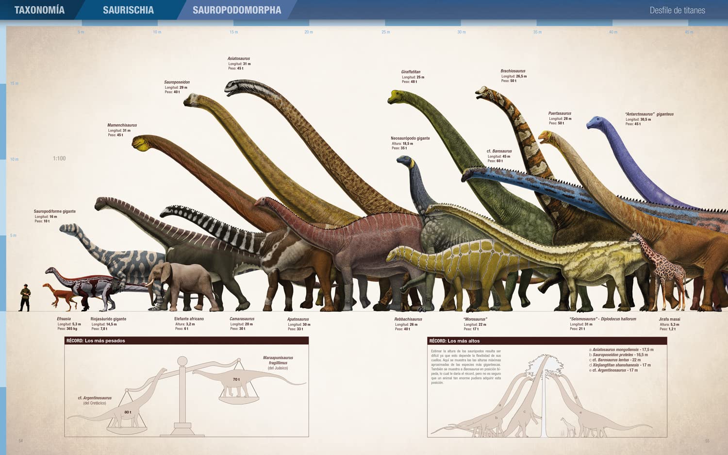 Récords y curiosidades de los dinosaurios. Saurópodos y otros sauropodomorfos