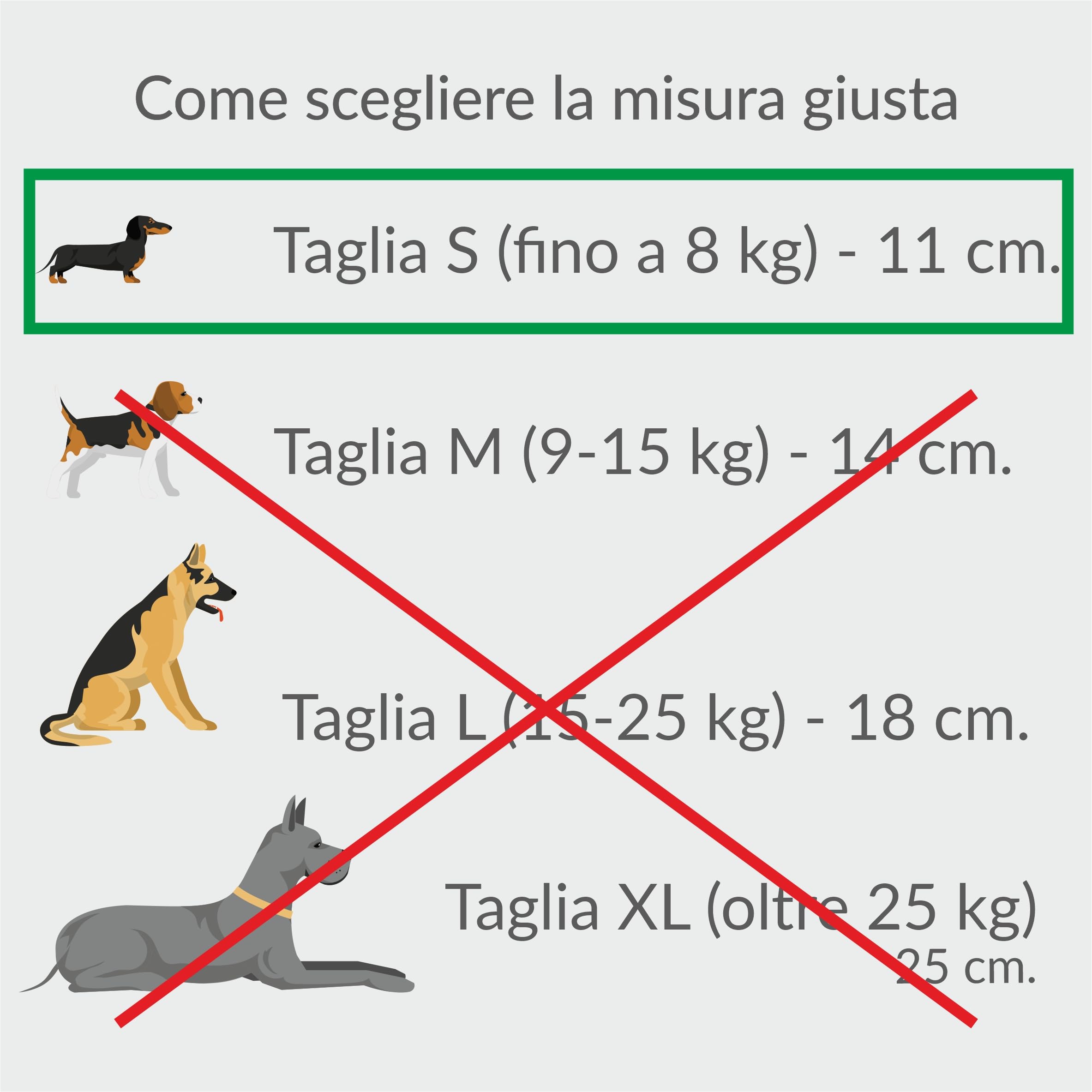 BOC BAU - 3 pz - Bastone di olivo per cani da masticare e rosicchiare in Legno (Small)