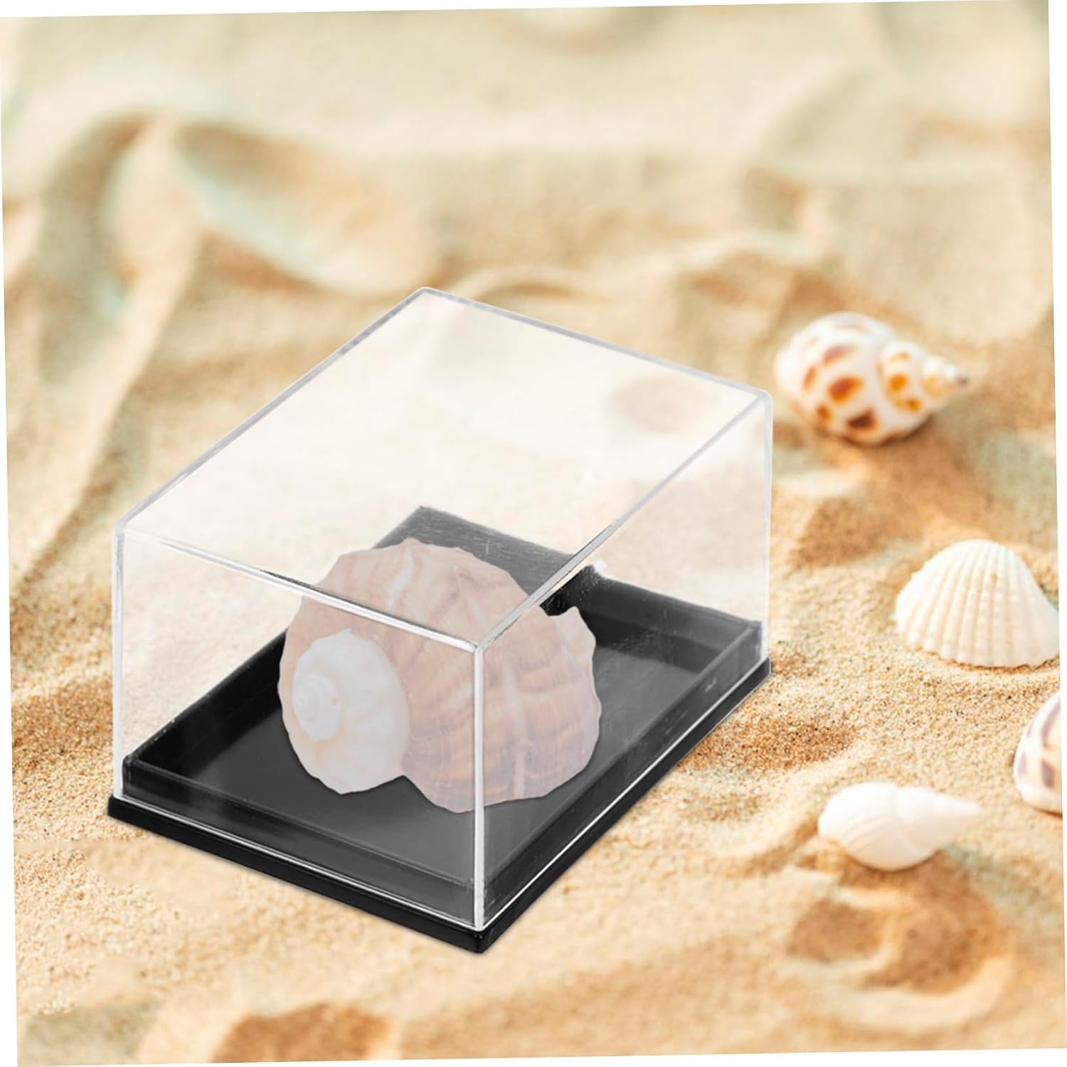 3sets Plastic Specimen Storage Box Mini Cube Containers Mineral Stones Display Case 4pcs*3