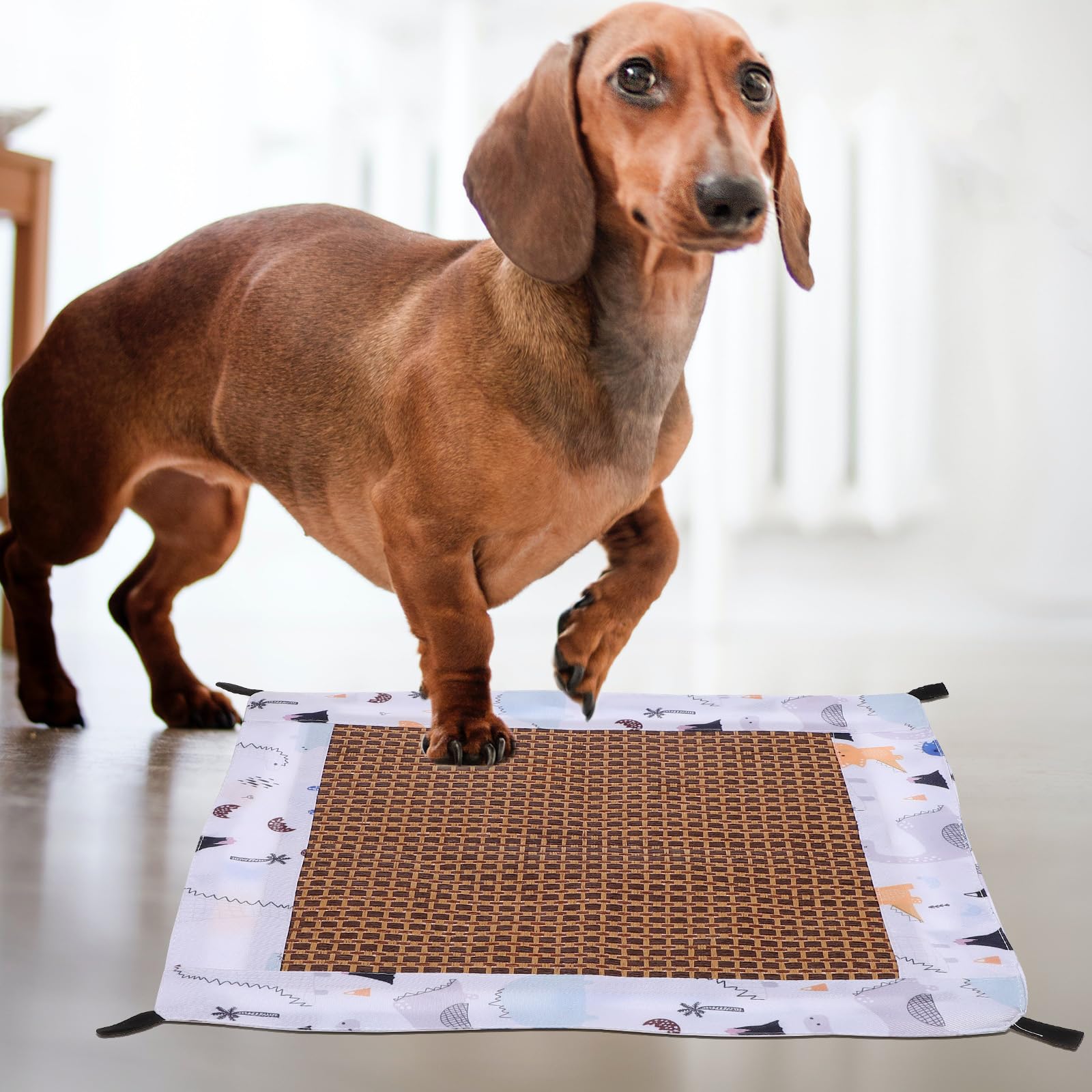 POPETPOP Hamaca Colgante para Hámster Y Mascotas Pequeñas Cama Y Transpirable con Diseño De Dibujos Animados Fácil De Colgar Y Lavable para Chinchillas Y Ardillas