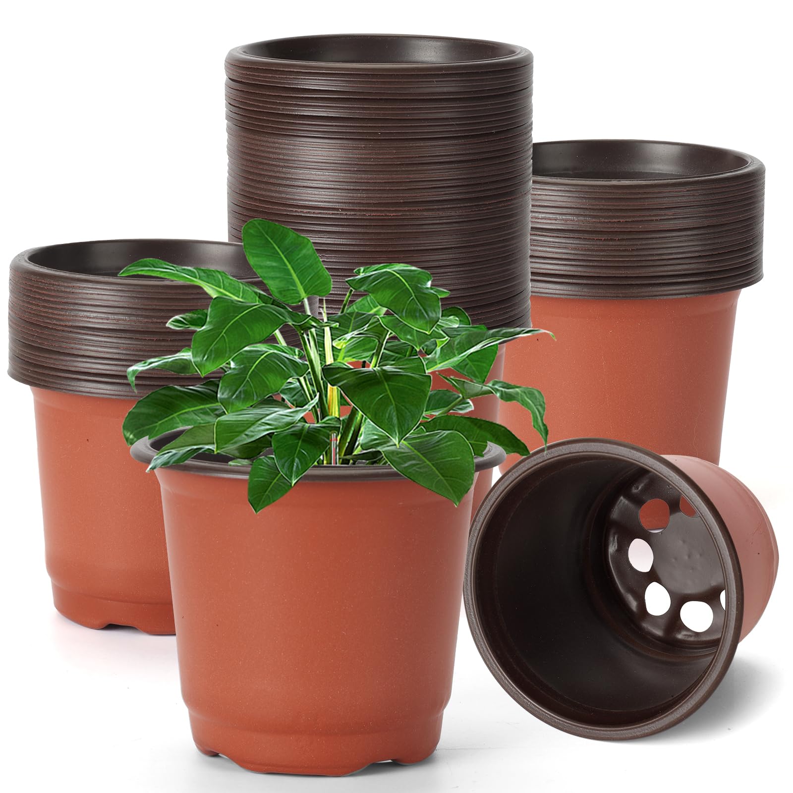 Macetas de vivero con agujeros de drenaje para evitar raíces podridas en tus plantas