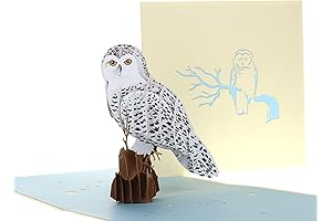 Mystical Owl Birthday Card: A Nocturnal Delight