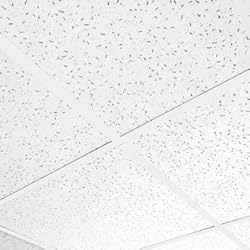 Techo Falsa Teja Ceiling Expert 732006090081 Azulejos de Techo, Blanco, 595mm x 595mm