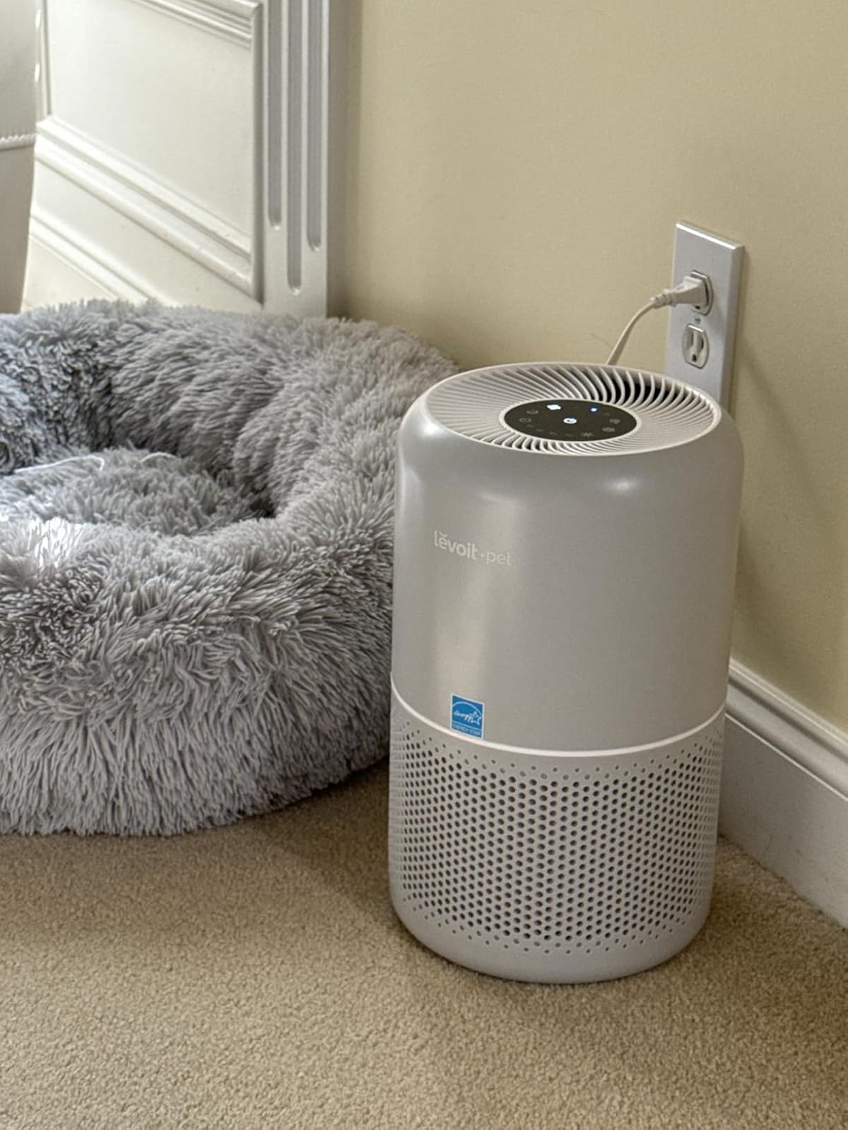 Air purifier effectiveness with pets