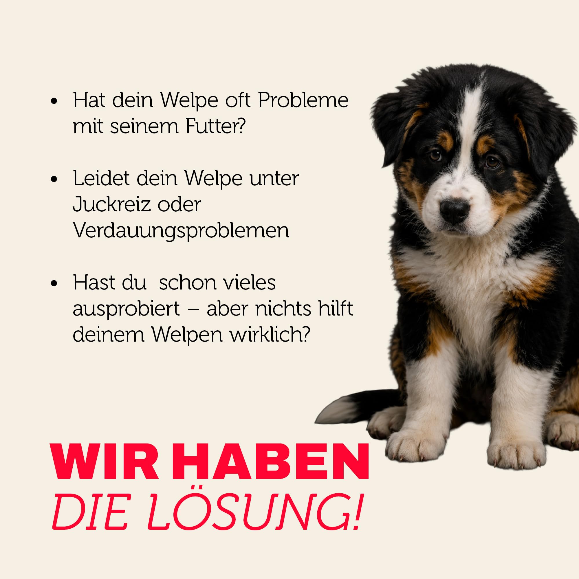 MERA Pure Sensitive Puppy Ente & Kartoffel 12,5kg Welpenfutter getreidefrei | Hochwertige Rezeptur mit Colostrum – hohe Verträglichkeit, magenschonend, für alle Rassen & sensible Hunde geeignet