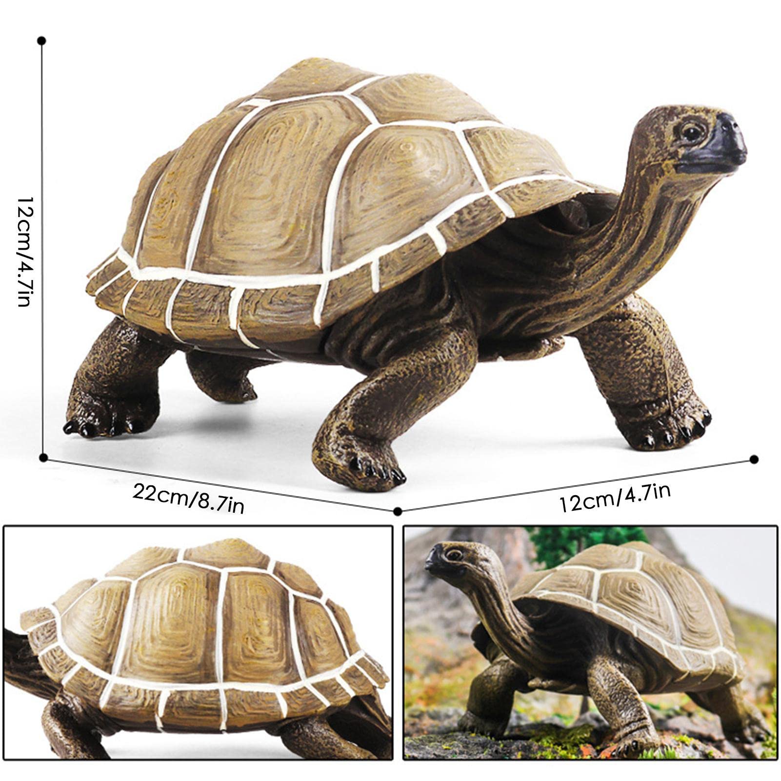 リクガメ ゾウガメ  置物 Amazon.co.jp: ウッドギャラリー樹 ゾウガメの置物 亀 ゾウガメ
