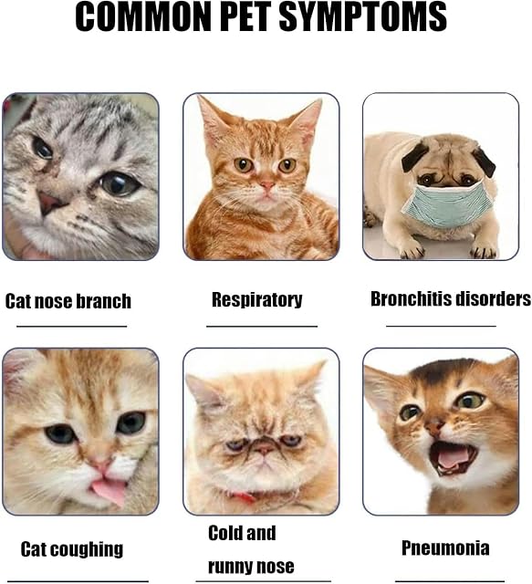 Foto 5 de 6 de MIAOMI Incubadora para Mascotas, para Tratamiento De Terapia para Perros Y Gatos