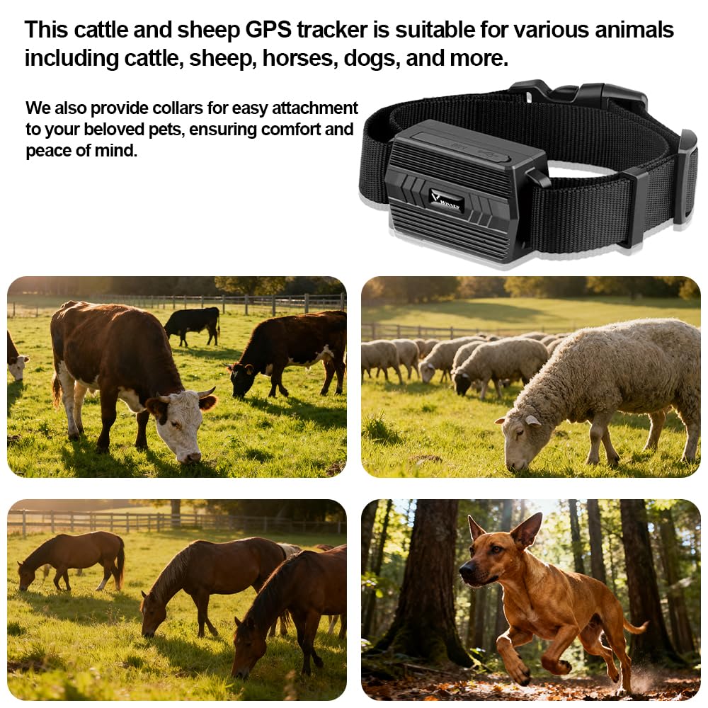 4G GPS Tracker für Rinder, Echtzeit Tracking, 3000 mAh, Anti Verlust GPS Halsband, Geofence, 180 Tage historische Bewegungsdaten, für Rinder, Schafe, Pferde, Kamele für die Farmverwaltung TK935