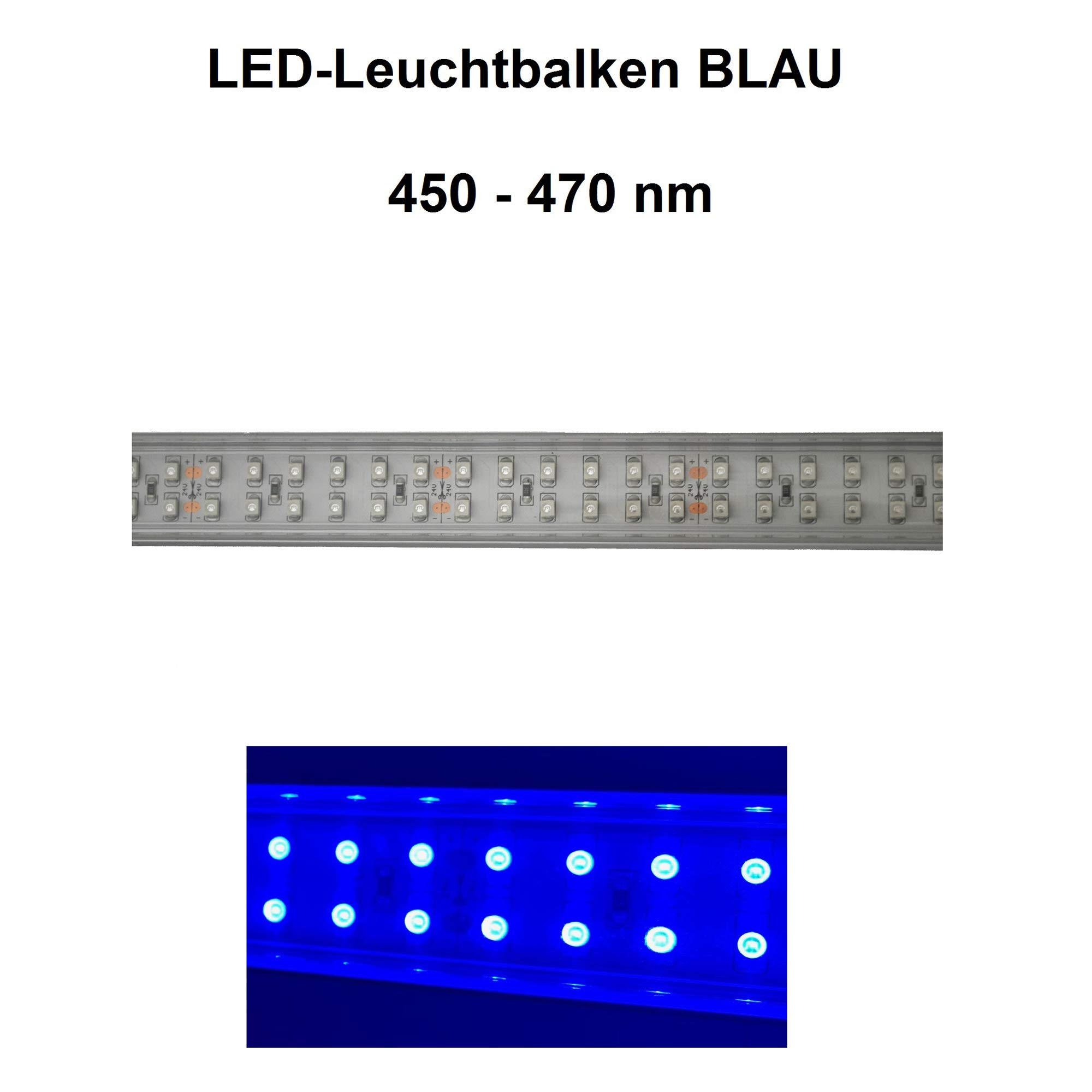 Meerwasser Aquarium LED-Leuchtbalken 3X 30cm (2X Tageslicht + 1x blau)