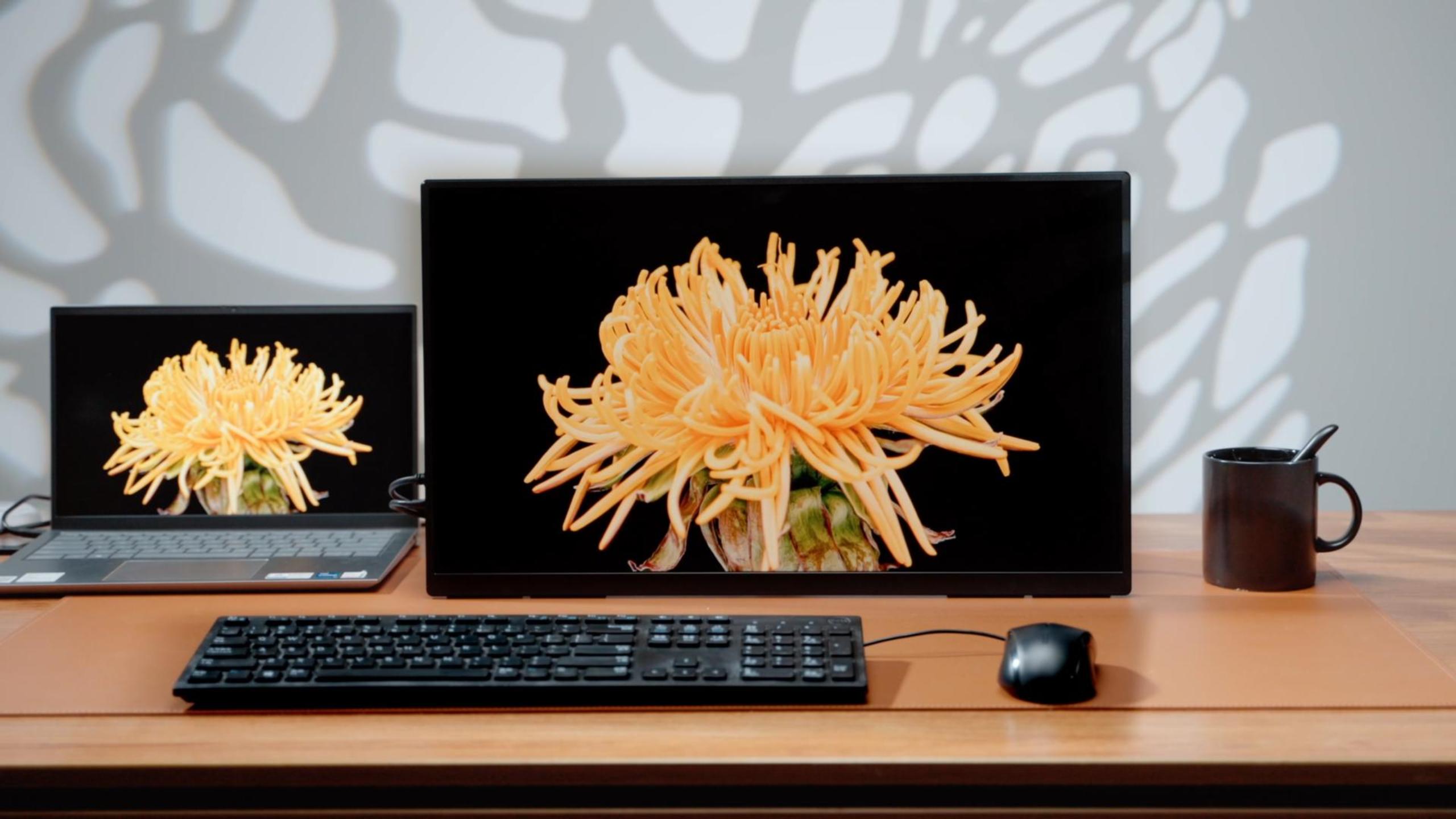 Amazon.co.jp: EVICIV モバイルモニター 21.5インチ ケース付き 100Hz