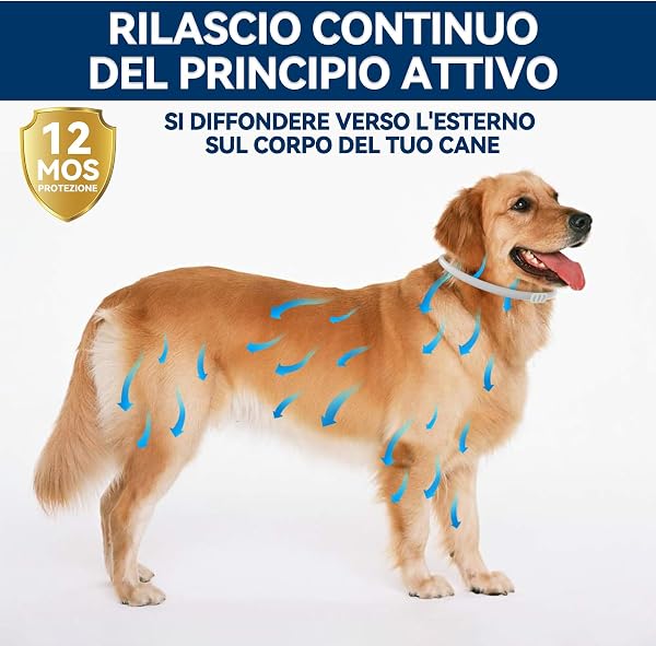 Collare Antiparassitario Regolabile Per Cani, Impermeabile, Con Oli Essenziali Naturali. Aiuta Contro Pulci E Zecche, Adatto A Cani Di Tutte Le Taglie, Protezione Fino A 12 Mesi - 3