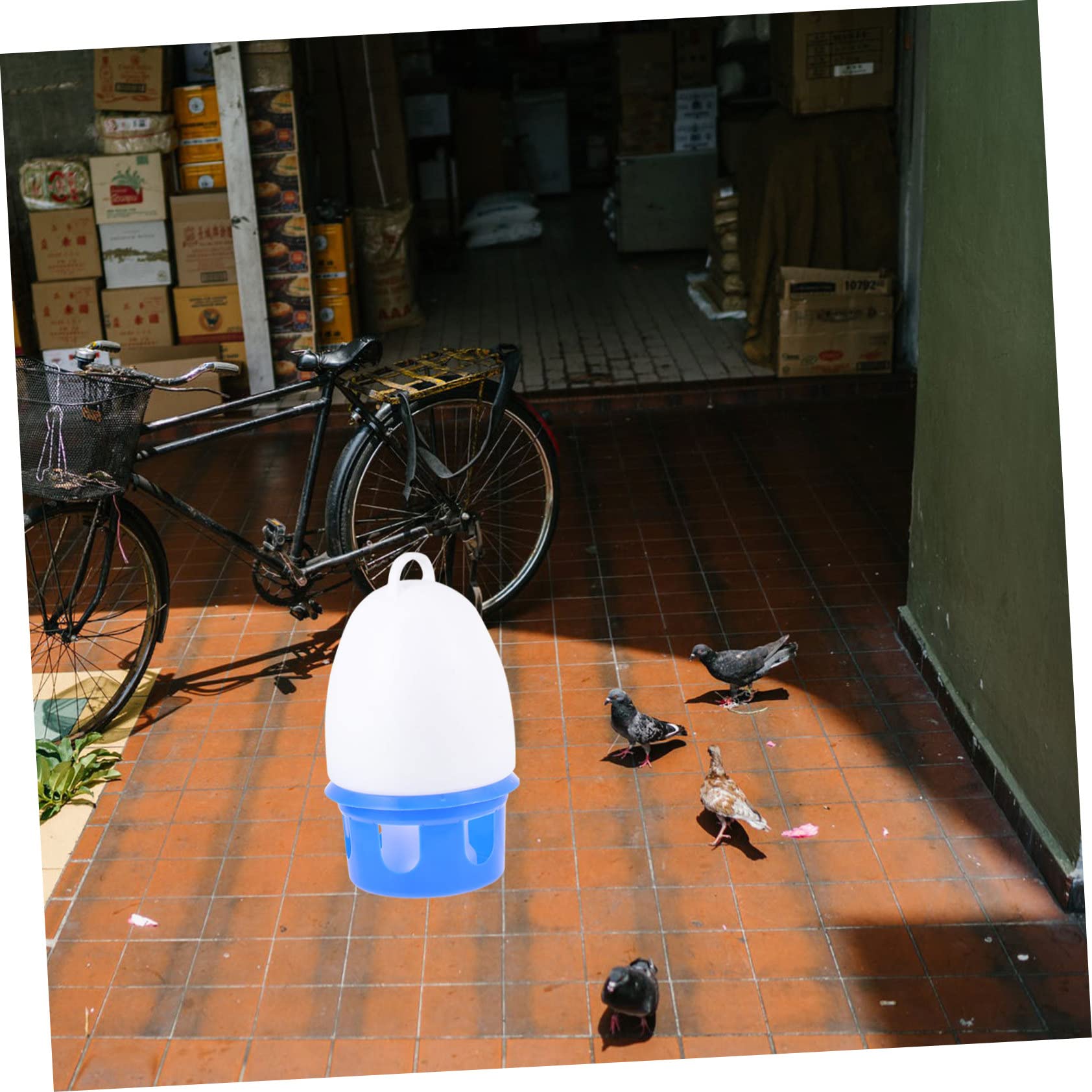 Pigeon Water Feeder Auto Drinking, 1 Pezzo, Pvc, Tondo | Blu, Rimovibile, Struttura Robusta, Facile da Pulire, per Parrocchetti e Uccelli, Uso Domestico