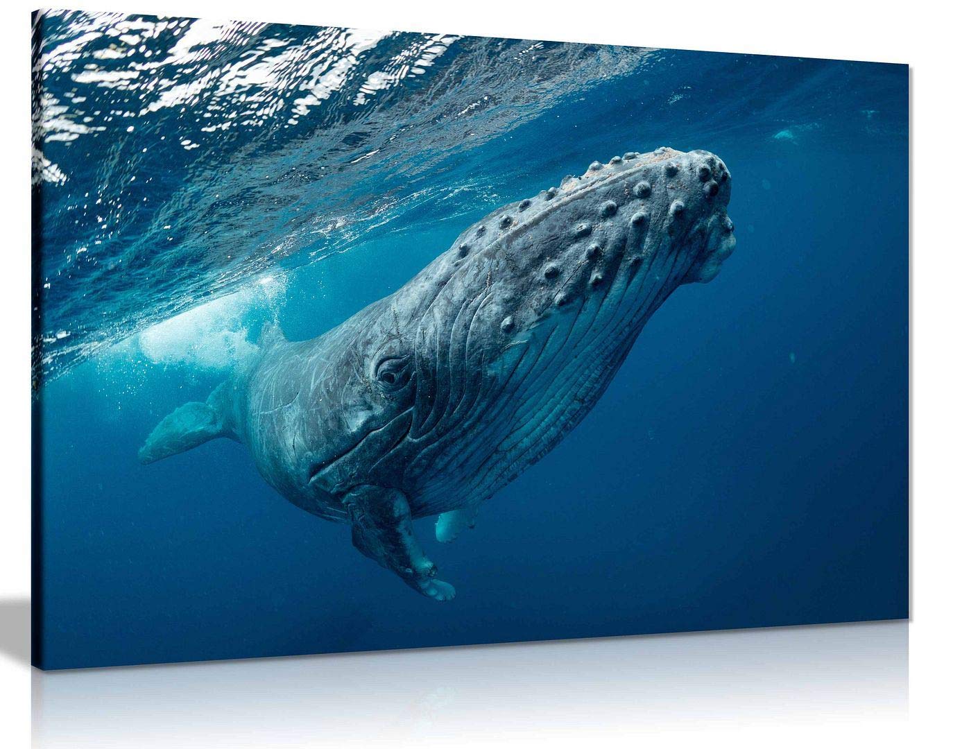 Humpback Whale Ocean Canvas Wall Art Picture Print Home Decor (30x20in)