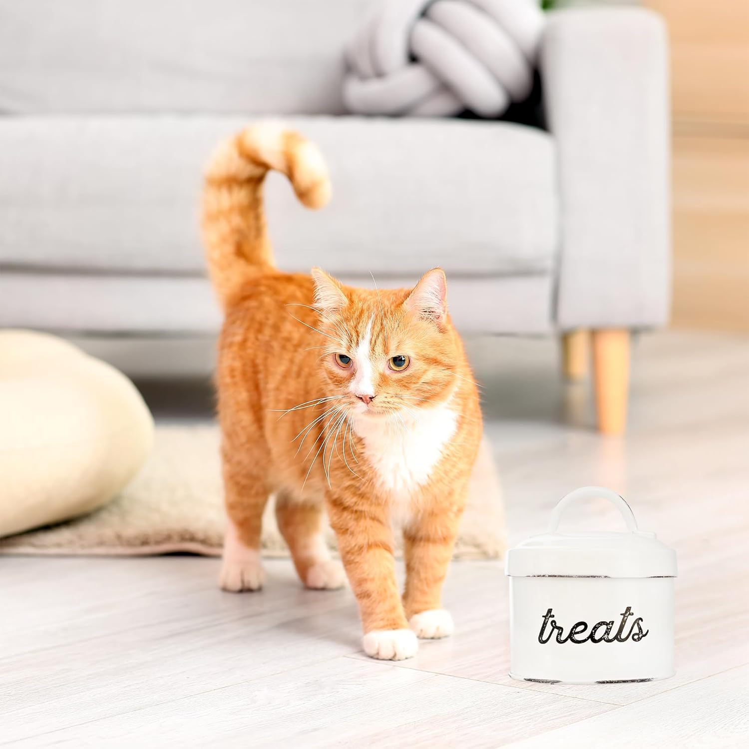 AuldHome Enamelware Cat Treat Container, Small White Rustic Pet Treats Jar