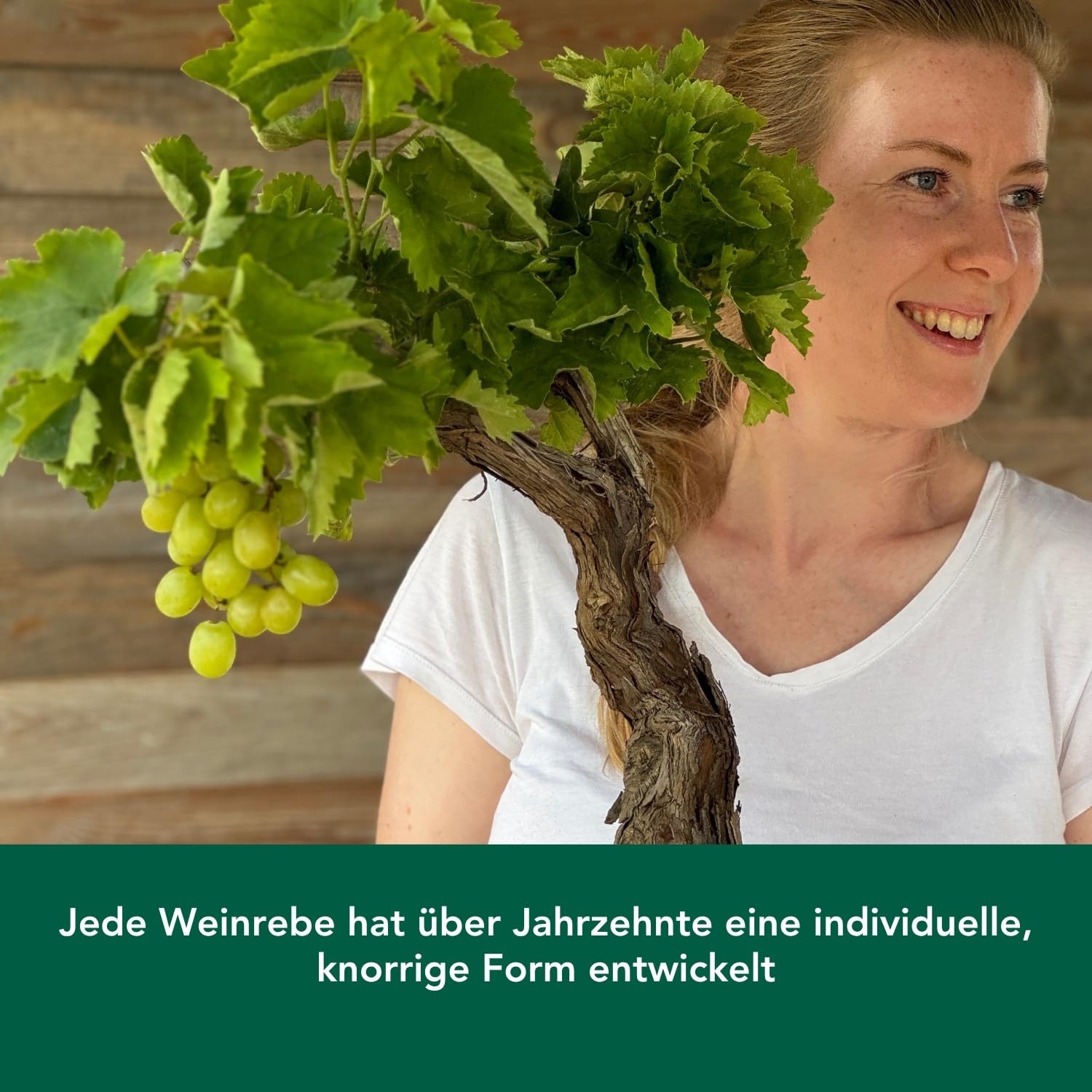 Bloomify® grüne Weinreben Pflanze "Wilma" | 60-70 cm hohe winterharte Weintrauben Pflanze | pflegeleichte Tafeltraube für Garten oder Kübel | besonders süße und leckere Früchte