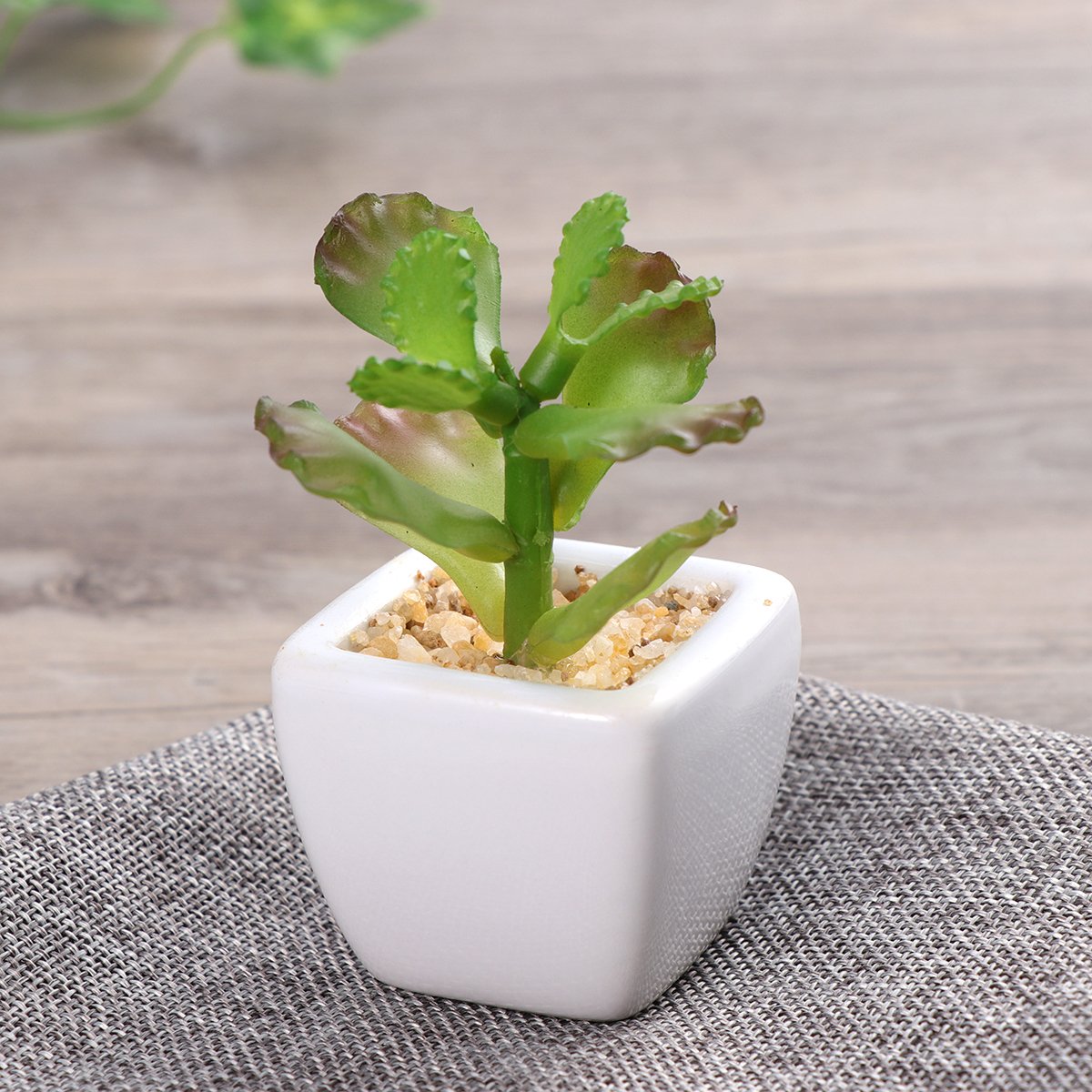 Winomo Lot de 4 plantes grasses artificielles avec pot en céramique blanche