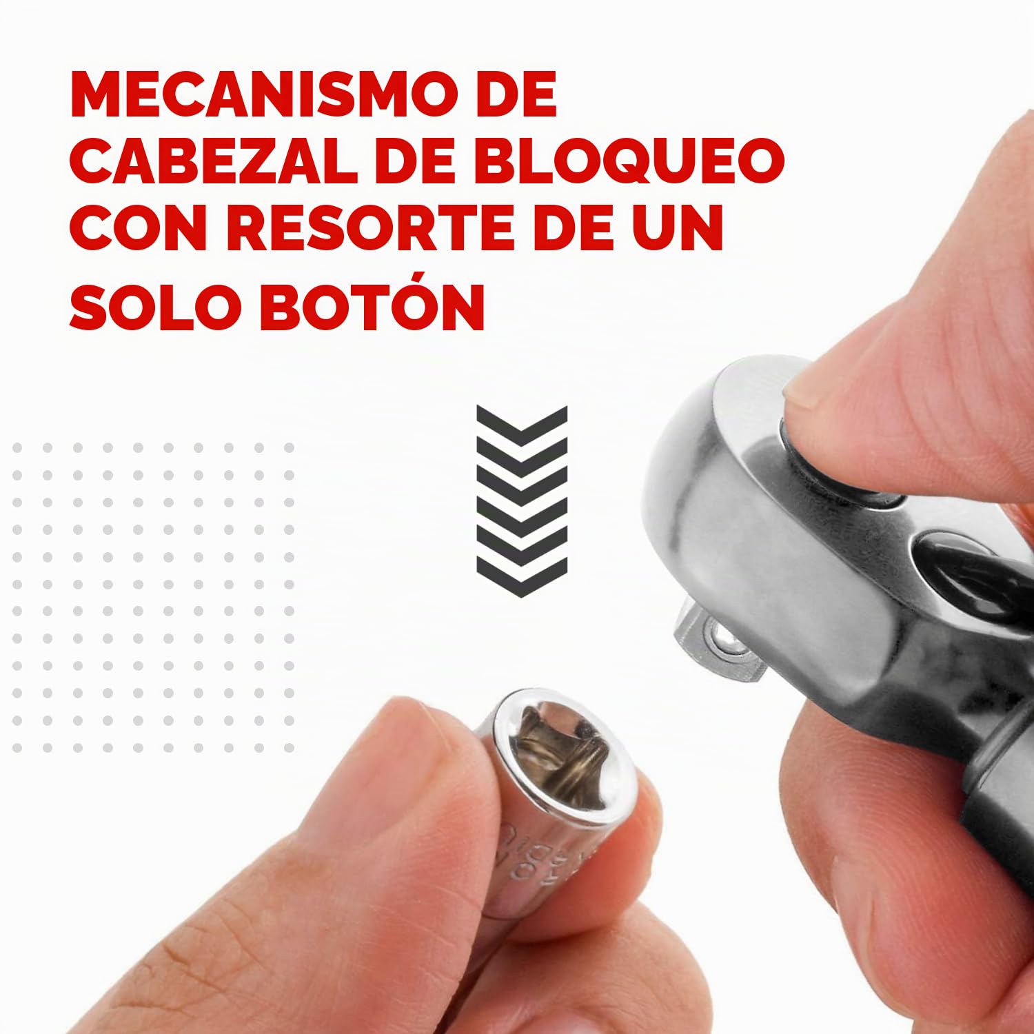 PRO BIKE TOOL 1/4 Llave Dinamometrica para Bici, kit de mantenimiento para bicicletas de carretera y montaña, incluye casquillos Allen y Torx - Kit Llave Dinamometrica Professional para uso preciso