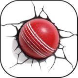 Cricket Battle