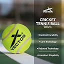 Vector X High Bounce Heavy Weight Tennis Ball for Cricket Practice, Street Match Ball, Training Exercise Ball for Outdoor & Indoor, Beginners & Pet Dog Play Ball (Pack of 3) Yellow gallery image