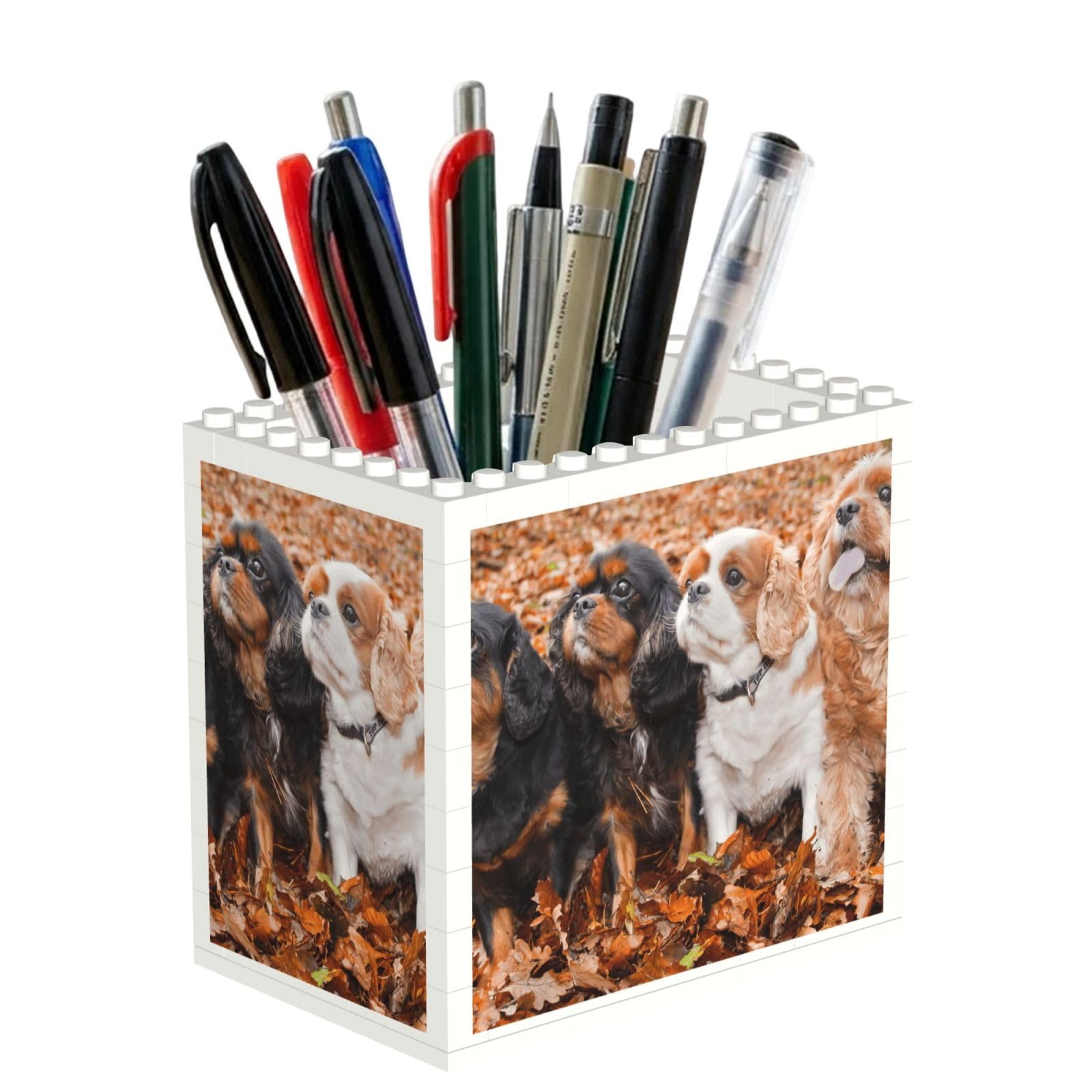 Poadnly Cavalier King Charles Spaniel Autumn Puppies, Pen Pot Pencil Holder for Office Home School, Compact Desk Organiser for Office Stationery