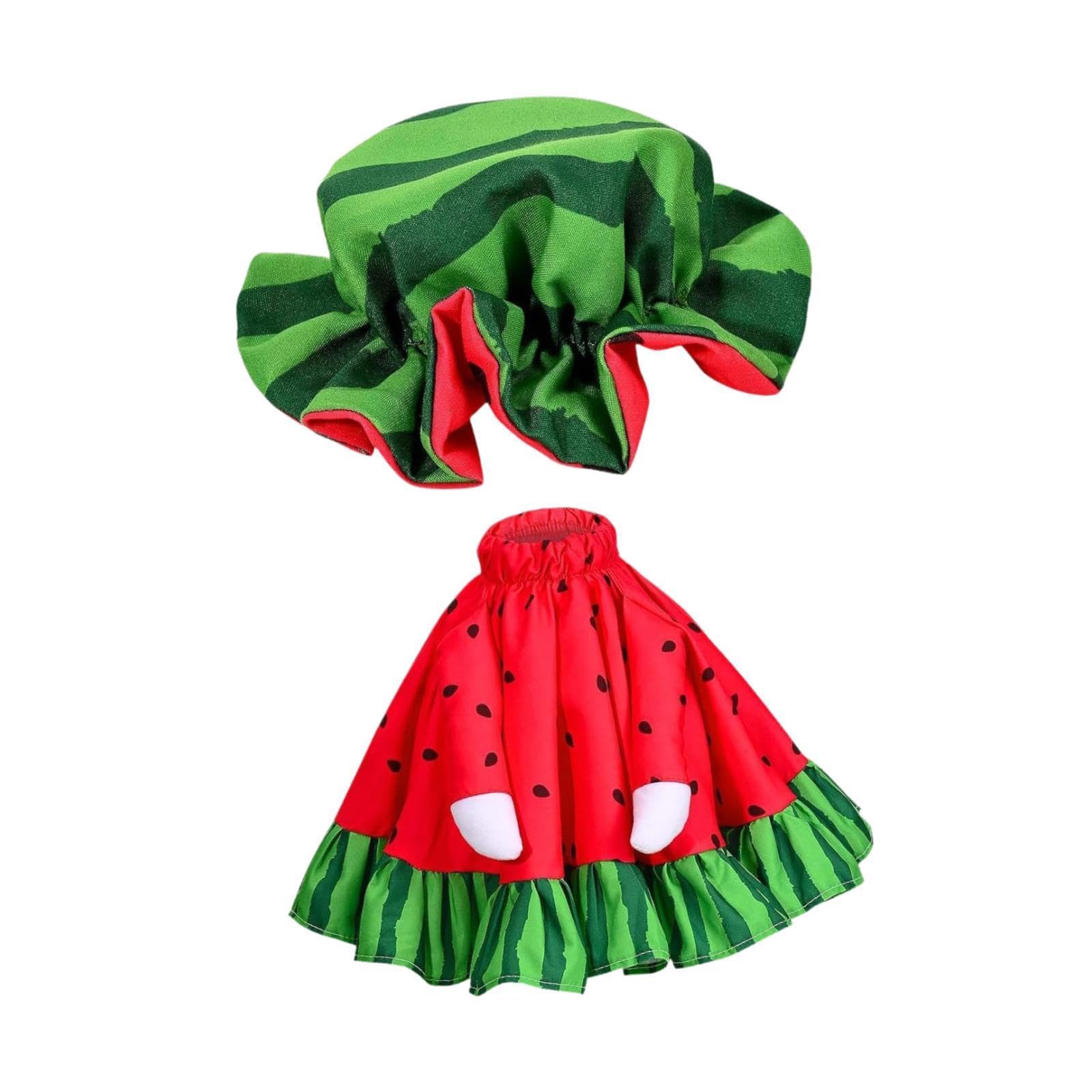 hogtnd Practical Watermelon Dress, Decorative Goose Statues Outfit, Suitable for Seasonal Celebrations and Photo Props, Waterfowl Wart Melon Costume