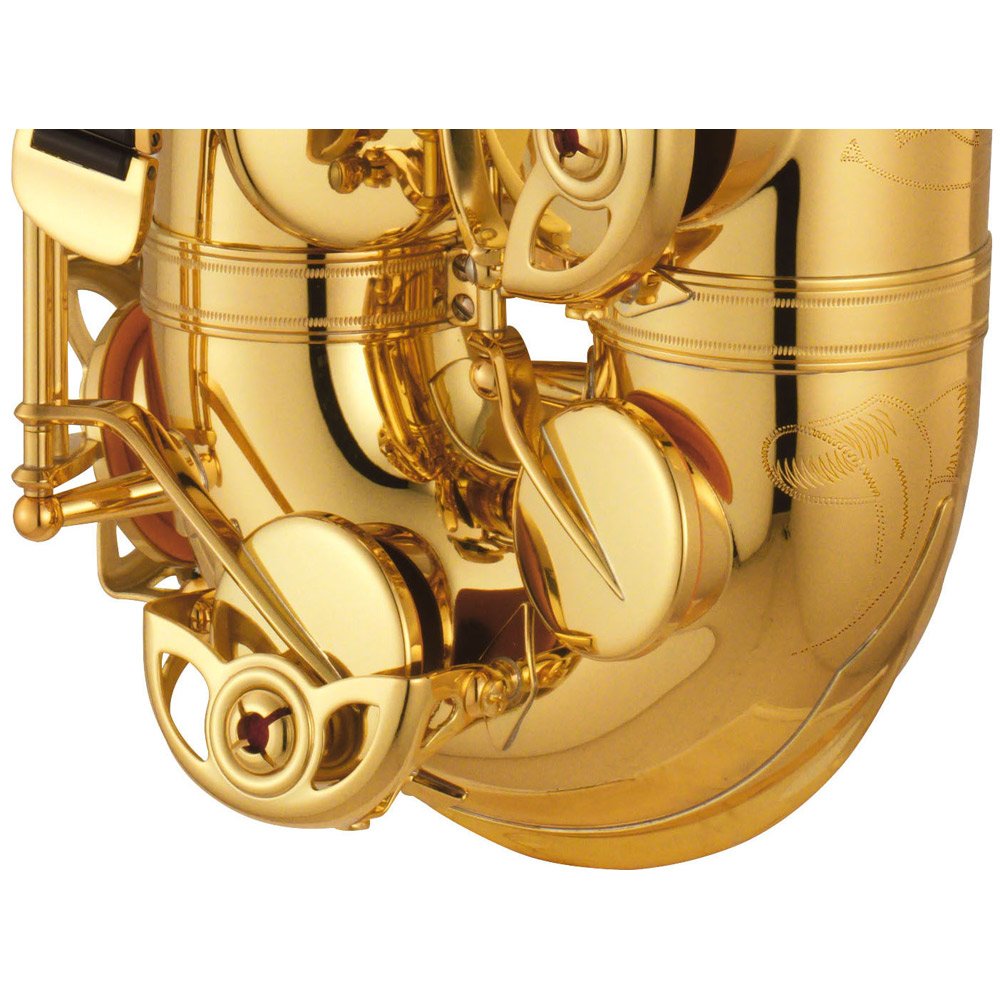 Amazon.co.jp: YAMAHA YAS-875 2015年新モデル カスタム875 アルト