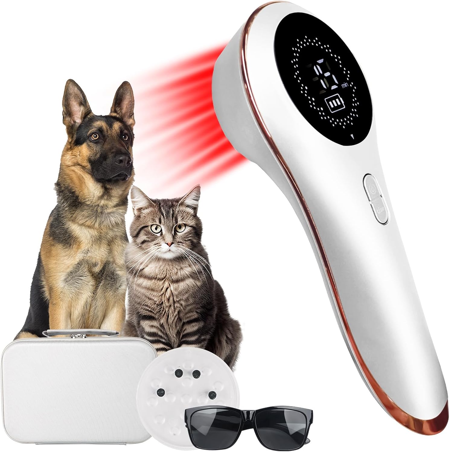 LLLT Cold Laser Therapy Device for Dogs/Human with Protective Magnetic Cover, Handheld Infrared Red Light Therapy for Target Joint & Muscle Pain Relief, 13pcs 650nm + 3pcs 808nm Pet Treatment Device