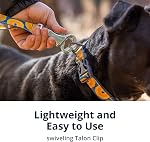 Ruffwear, Crag Dog Leash, 6 ft Reflective Everyday Lead, Swiveling Talon Clip, Padded Handle, Hands‑Free Waist‑Worn Option, Traffic Handle with Accessory Loop, Canyon Oxbow